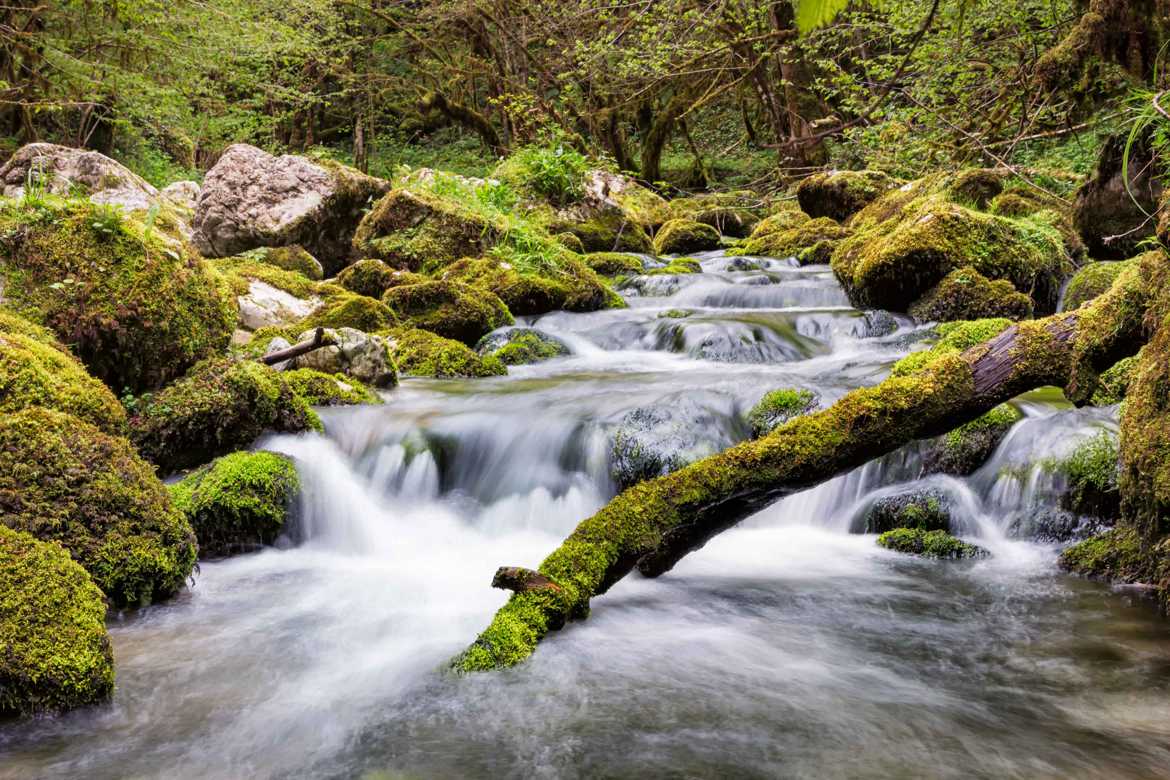 L' Arros au Gourgues d'Asque