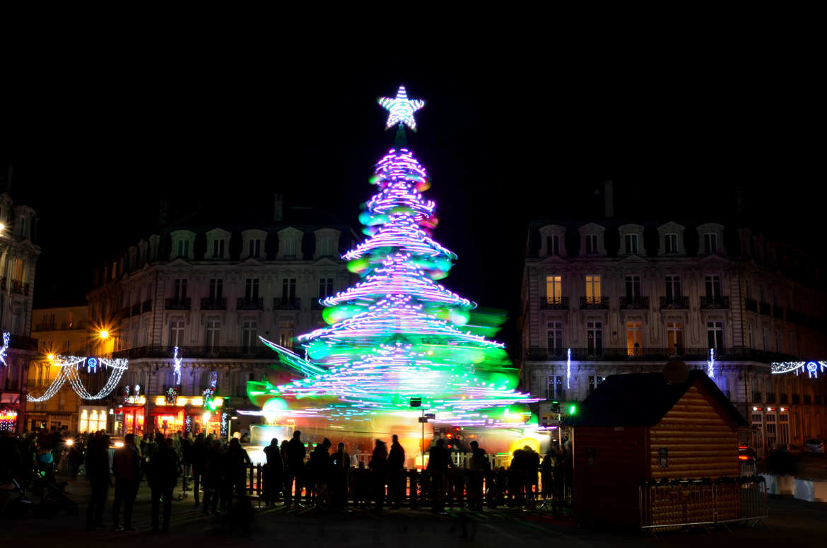 Sapin en folie