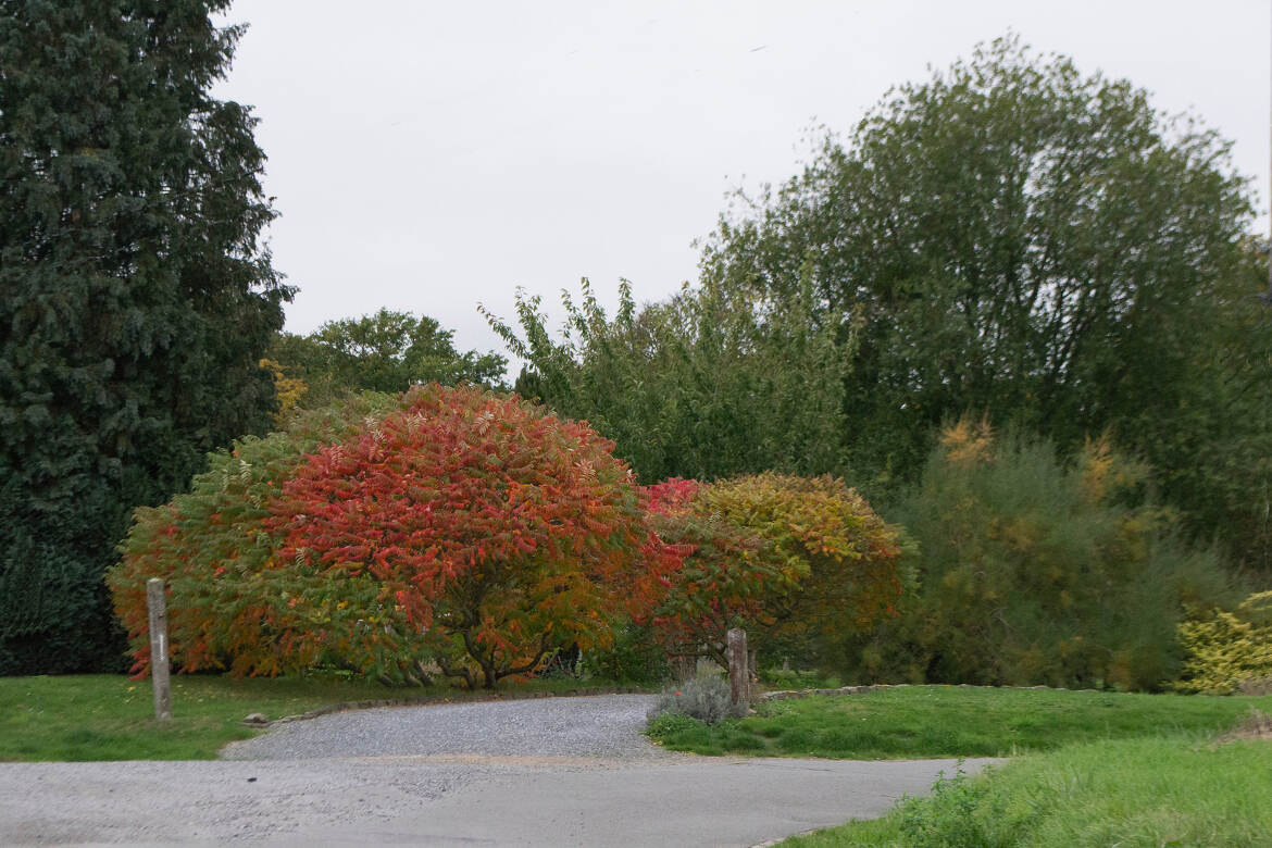 Couleurs de l'automne