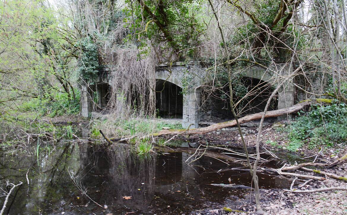 La nature reprend ses droits