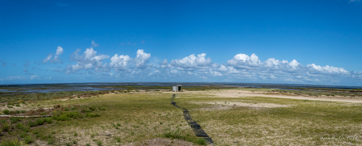 Gujan-Mestras (Arcachon)