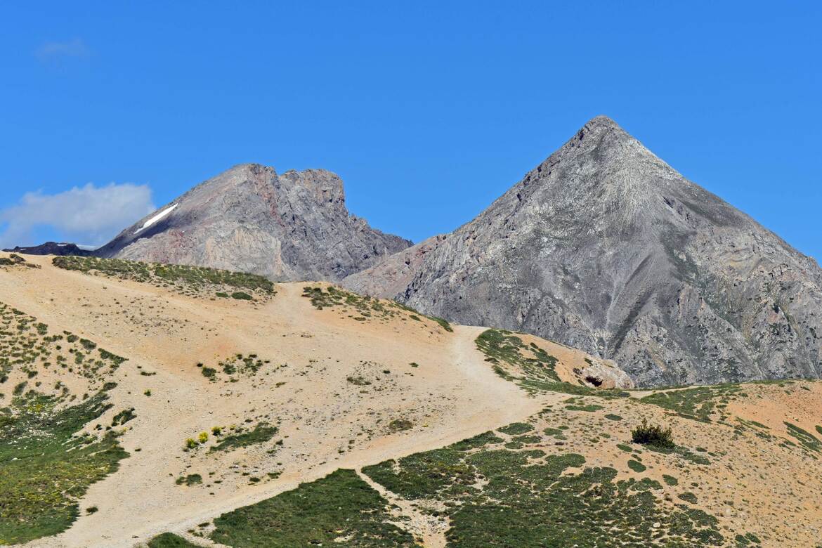 La Casse Déserte (4)