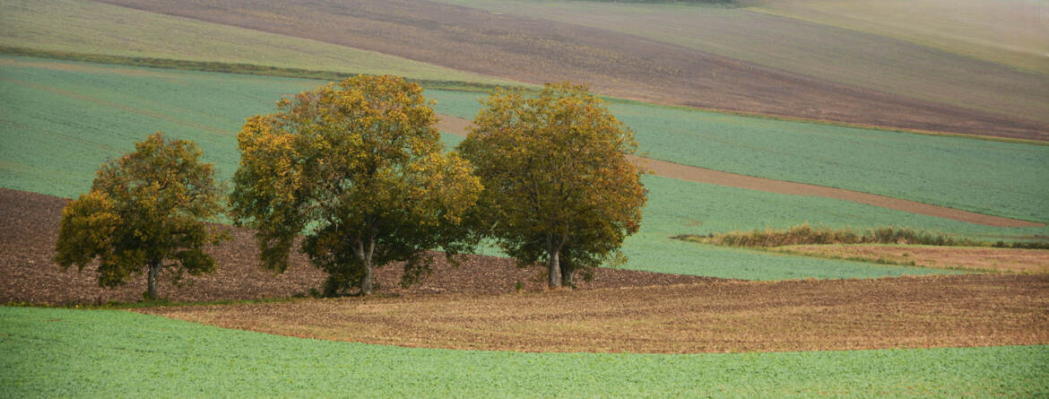Campagne bourbonnaise