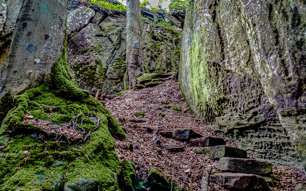 Sentier de découvertes