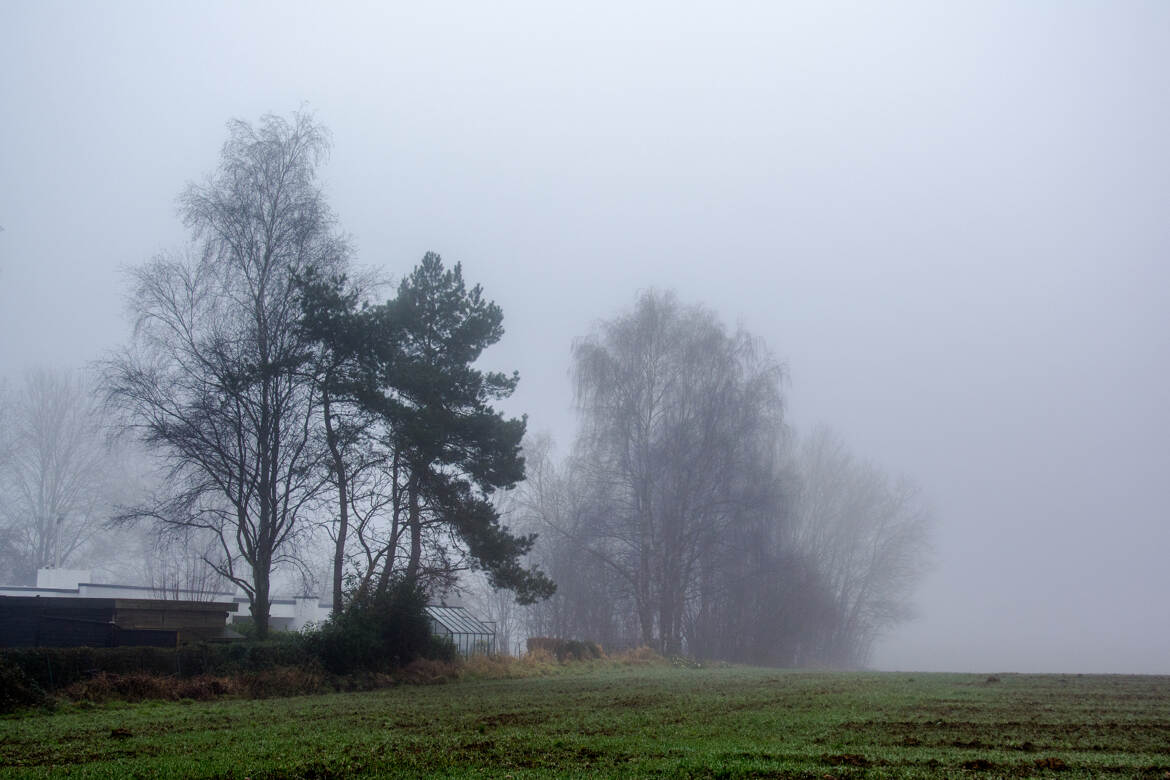 Brume à la campagne 1