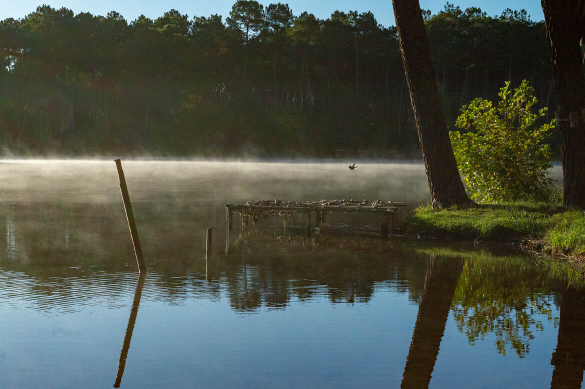 Lac au petit matin