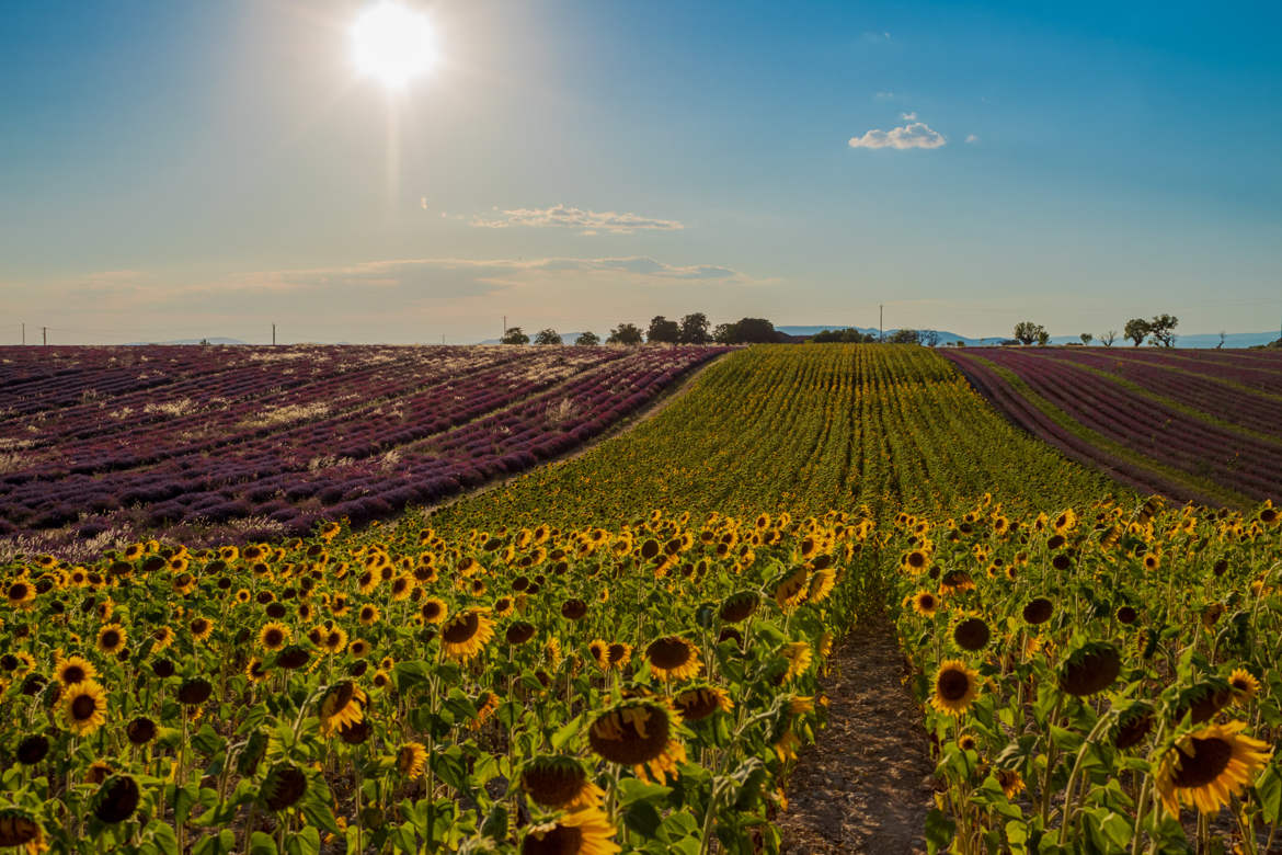 Domaine Les Grandes Marges