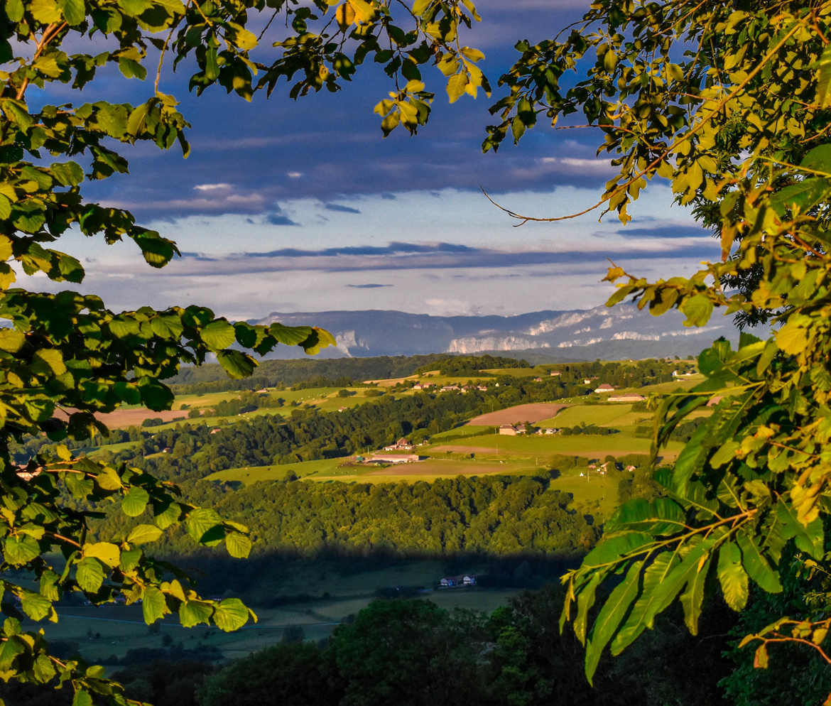 Collines du Dauphiné V2