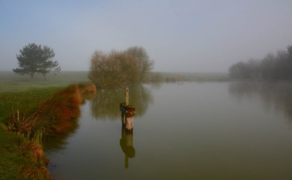 Une matinée au bord de l'étang