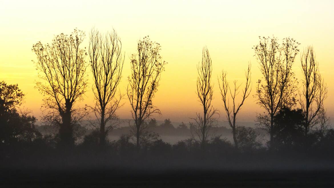 journée d'automne