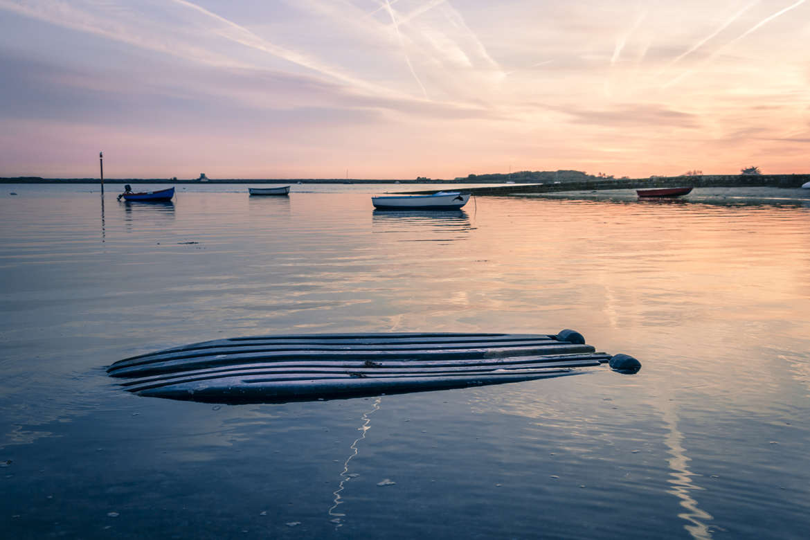 La baleine