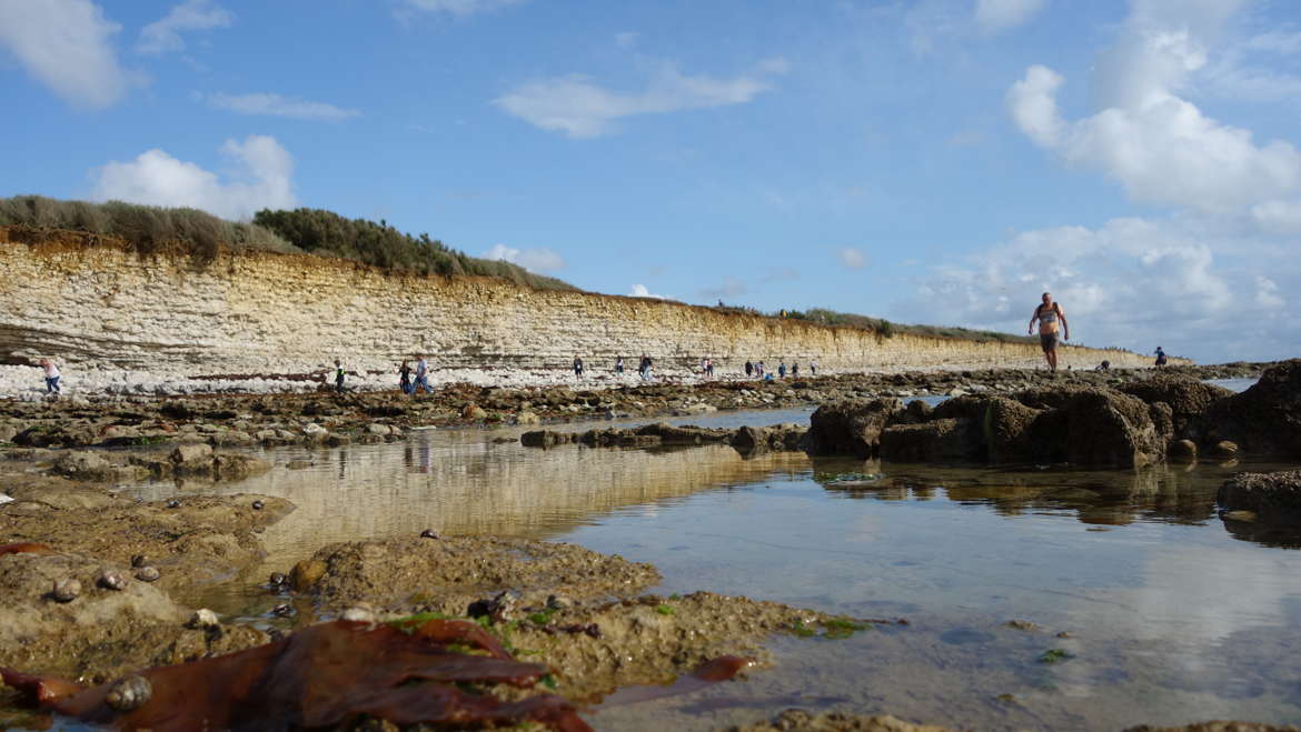 Pèche à pied