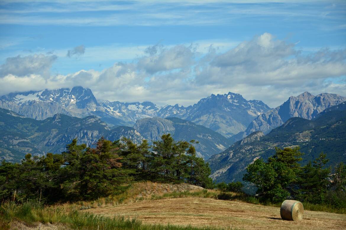 Paysage de rêve