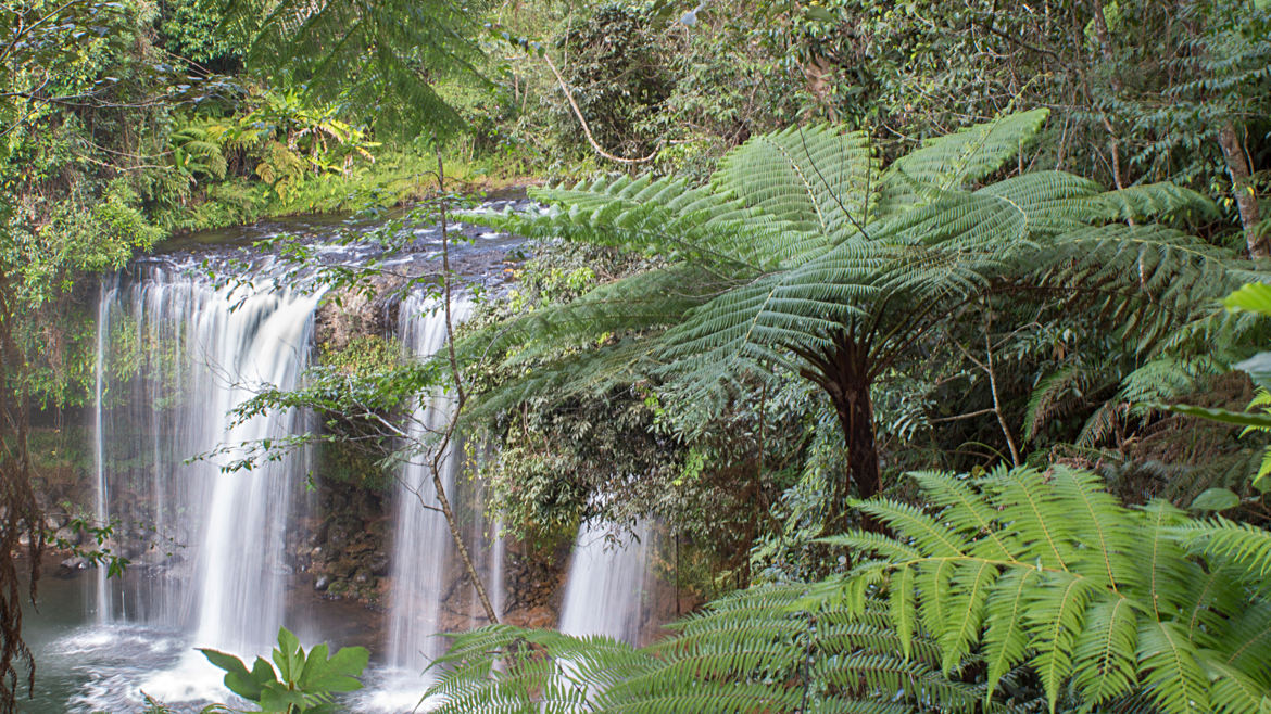 Cascade en forêt