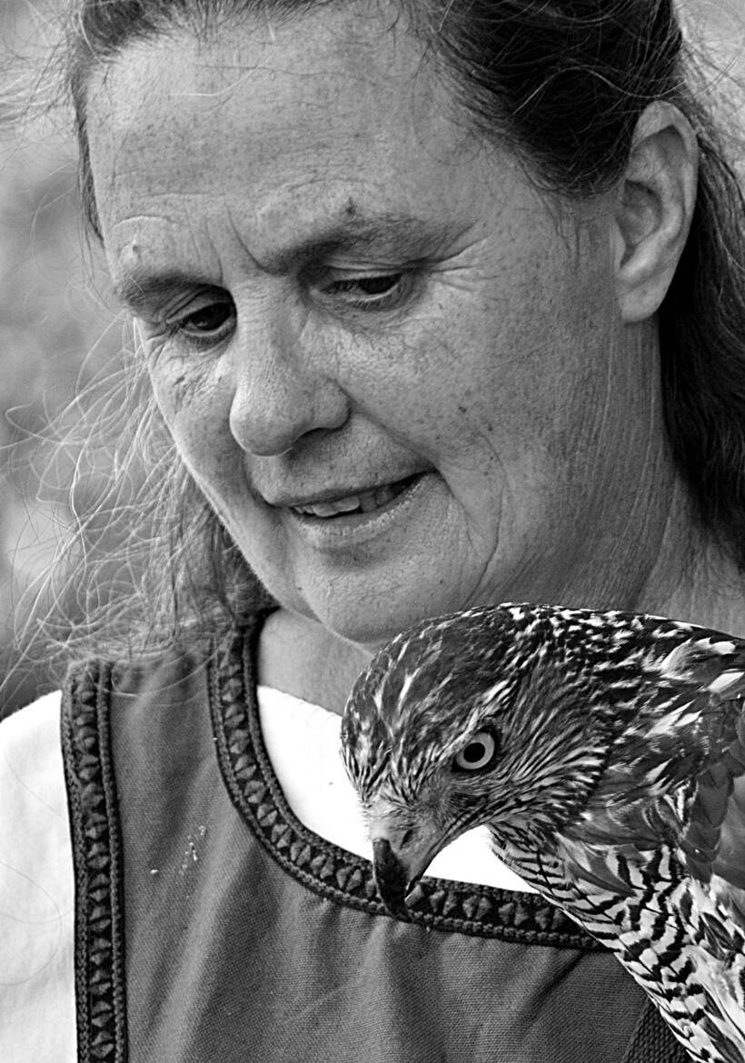 La Dame au Rapace