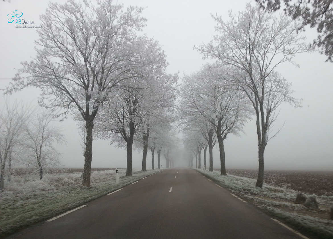 Matin de brouillard