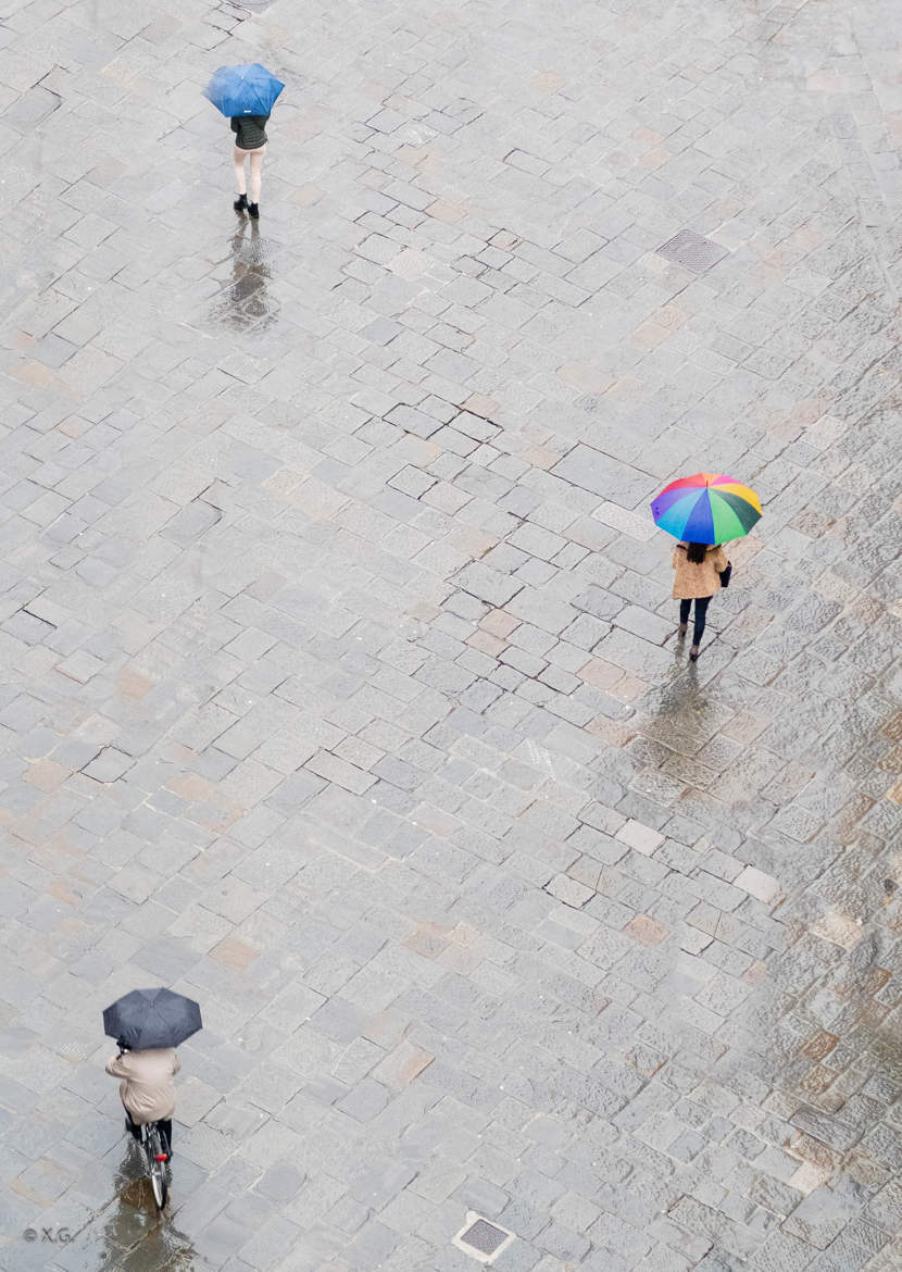 Florence série parapluie 3
