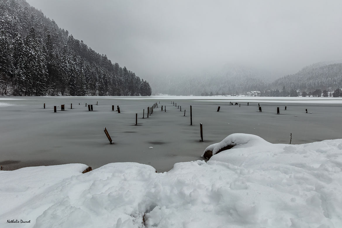 Pris dans les glaces