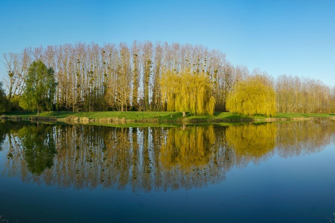 ETANG ou étant à l'endroit