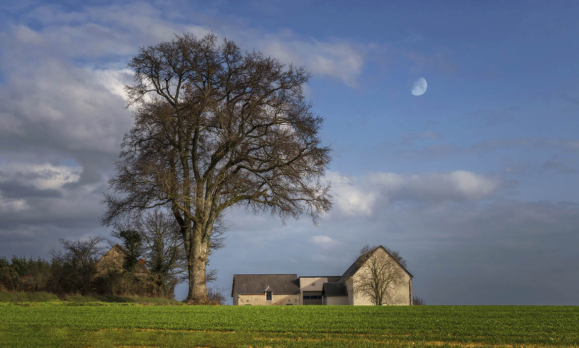 Paysage Berrichon