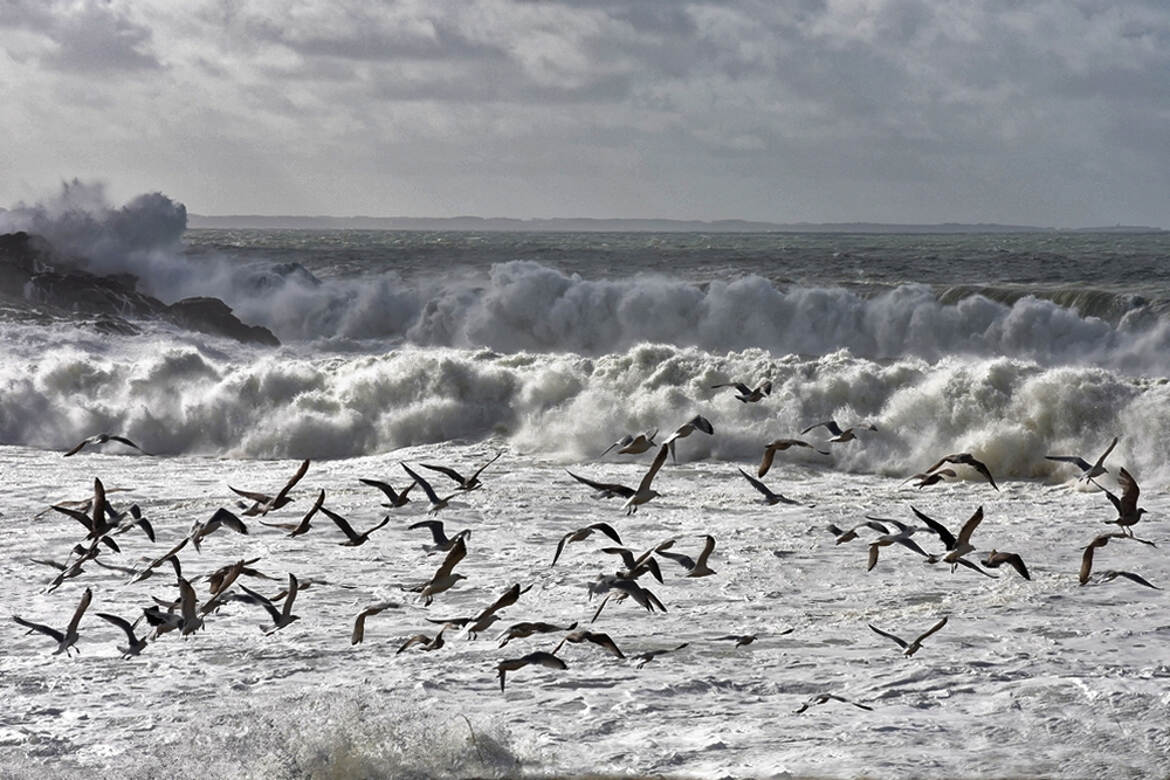 Sauve qui peut et chacun pour soi