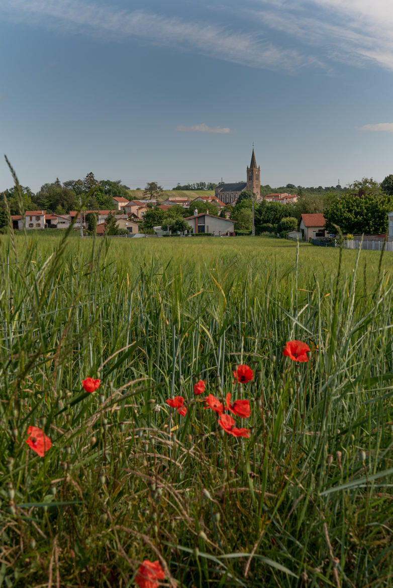 Village champêtre