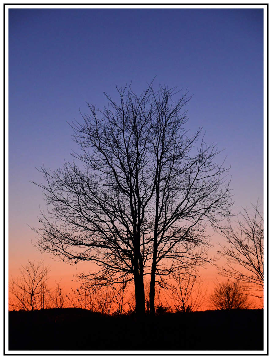 contre jour