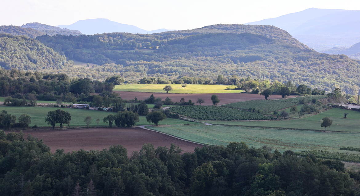 ça ressemble à la Toscane la la la...