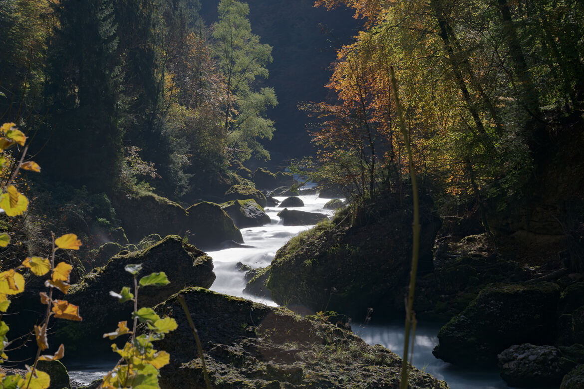 Rivière d'Automne