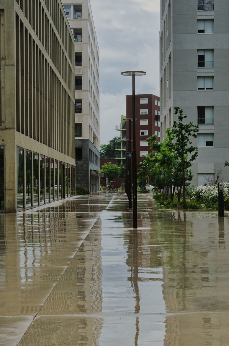 Après la pluie