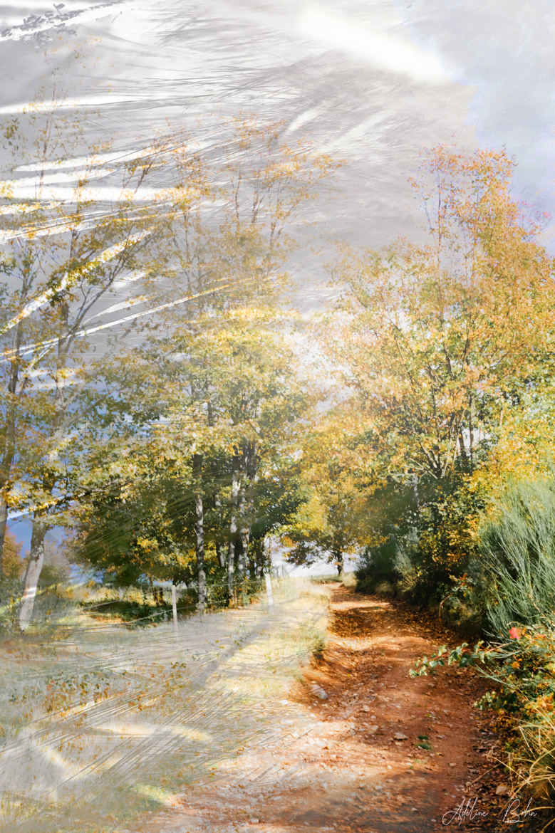 Le chemin d'Automne