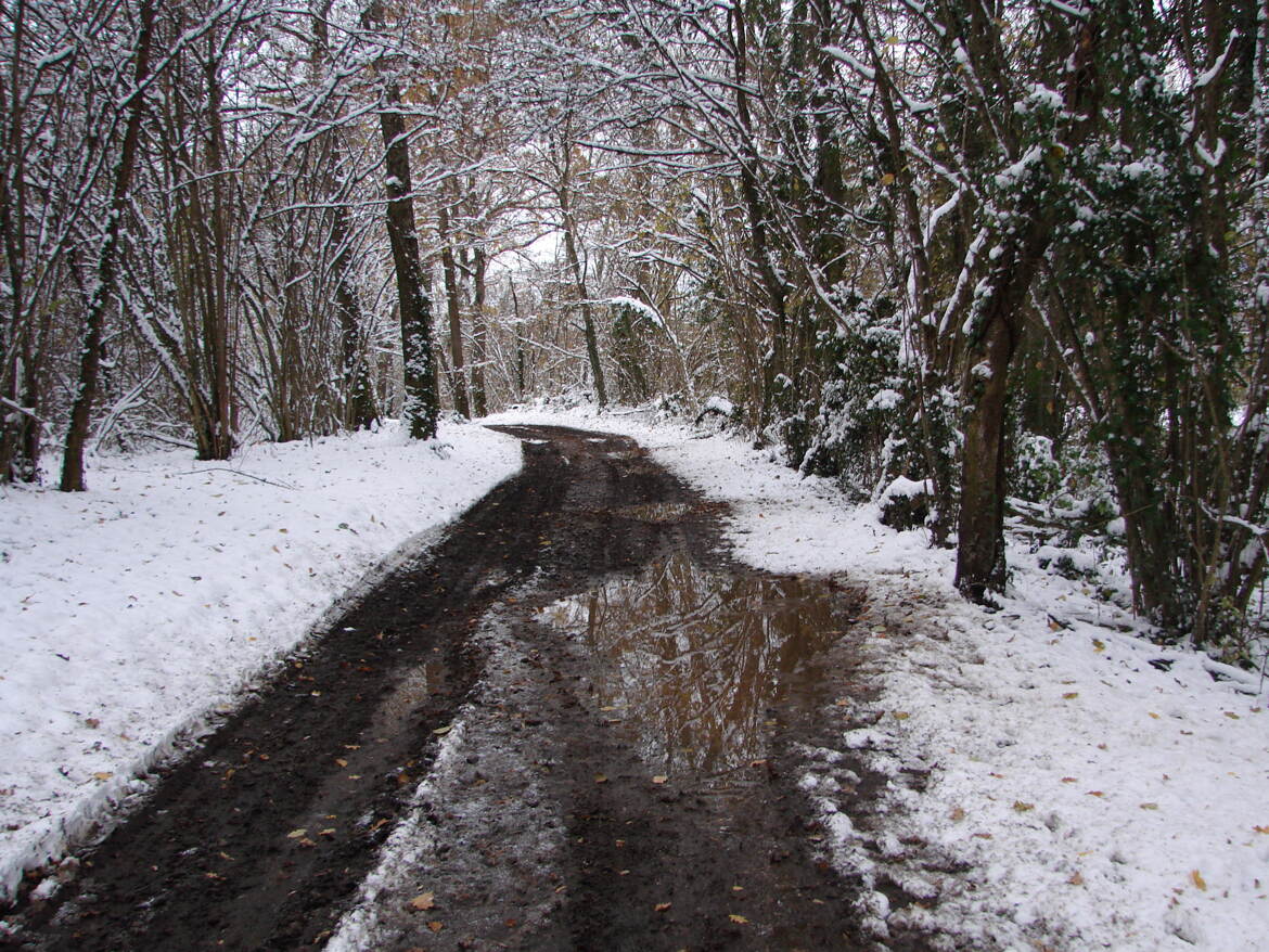 Derriere chez moi...