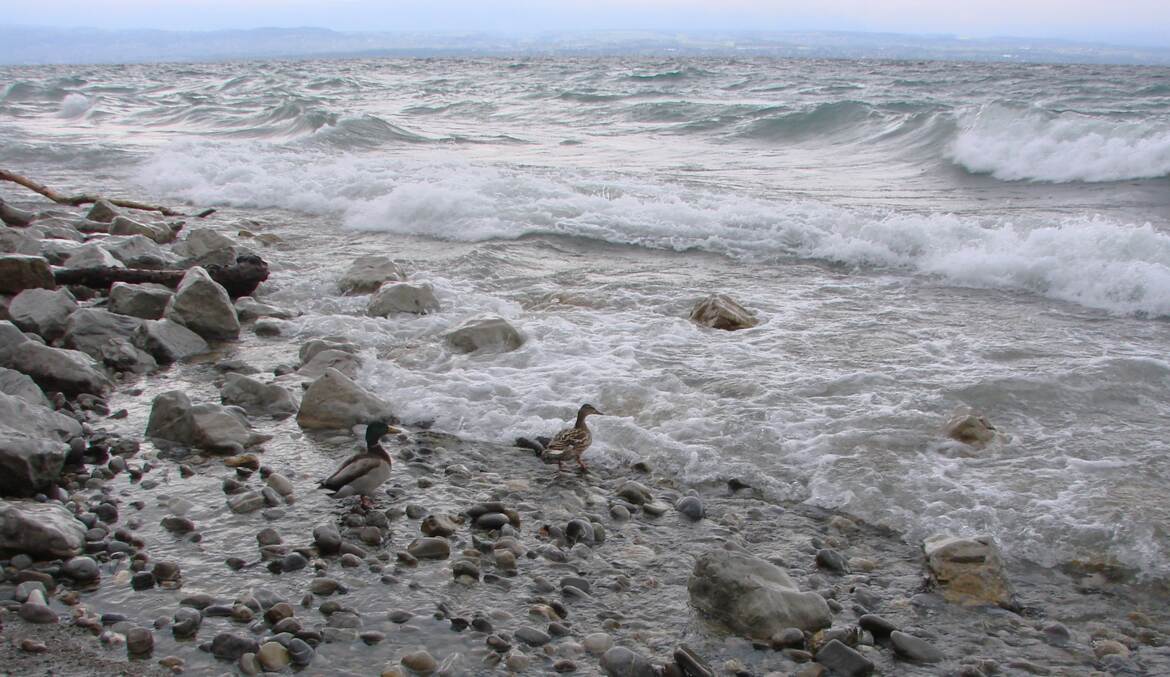 Alors, on y va ou pas?