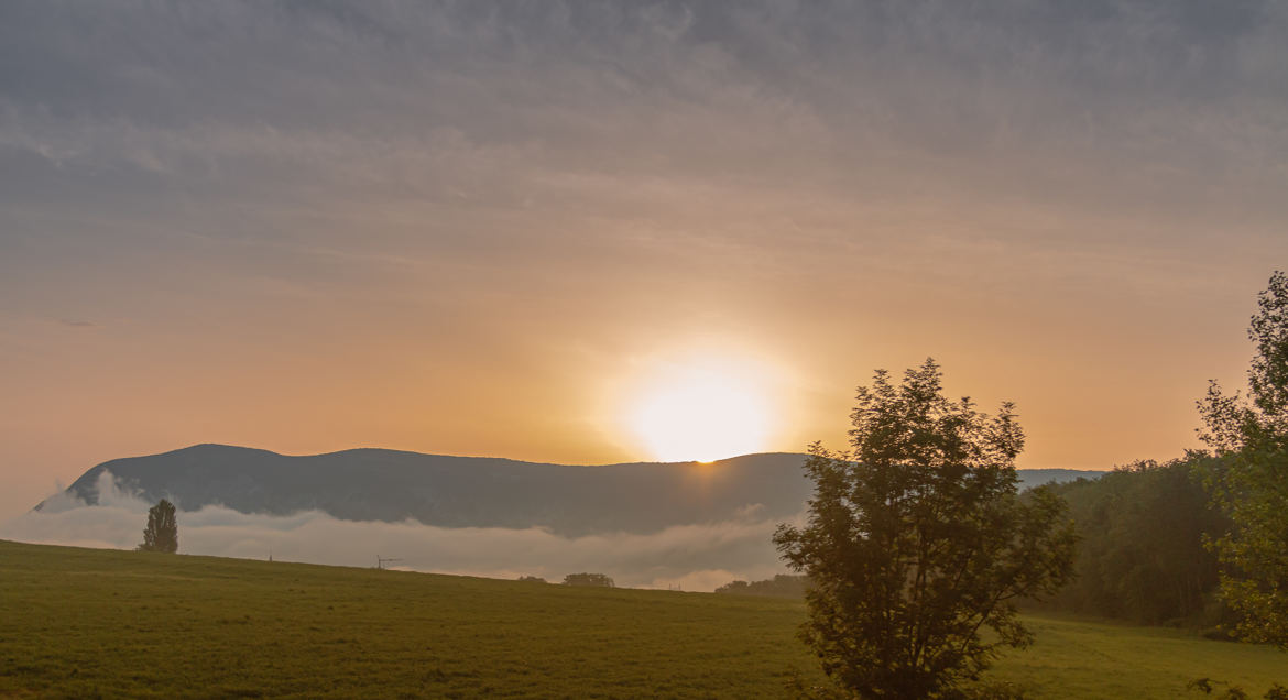 Au petit matin