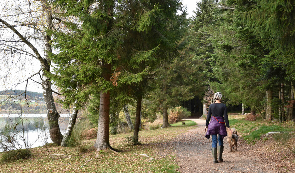 Promenons nous dans le bois...