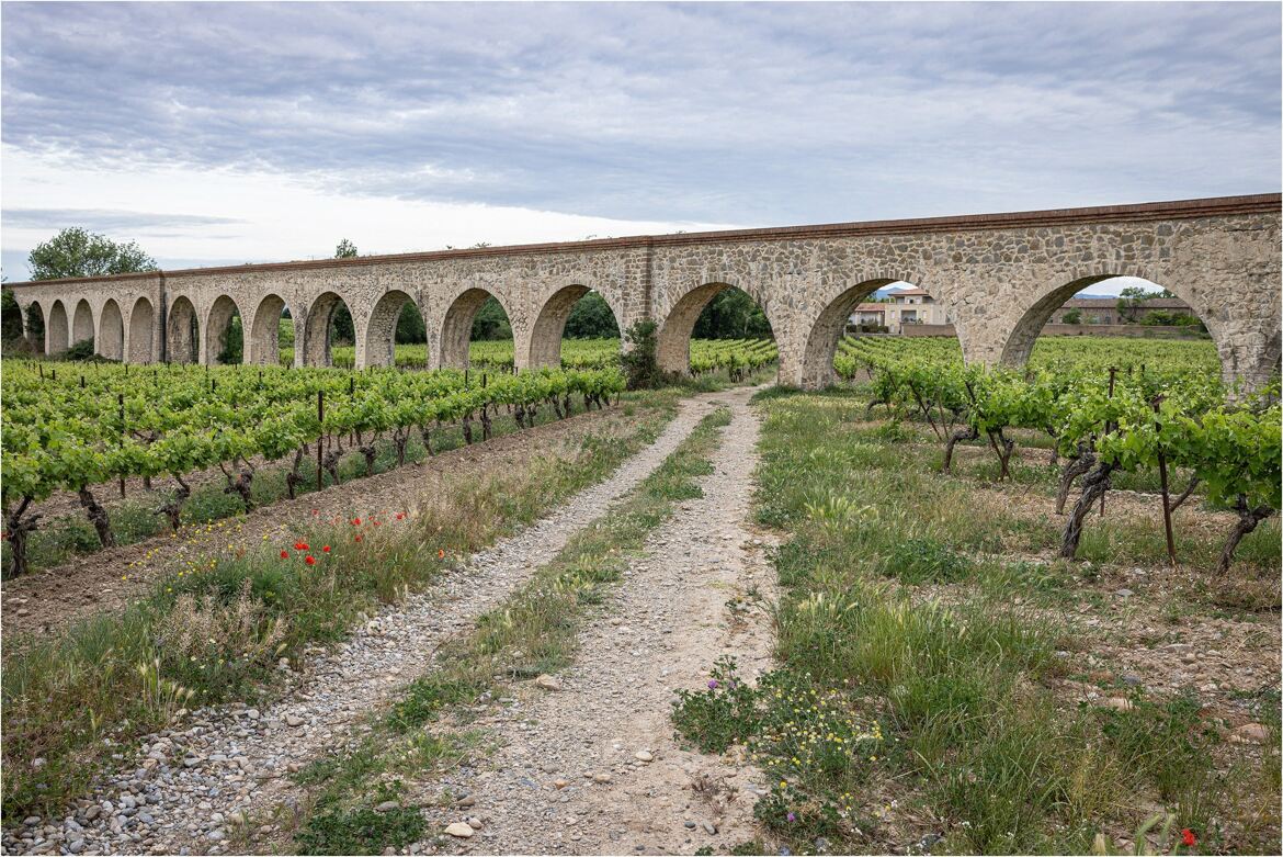 Vignes et aqueduc ..