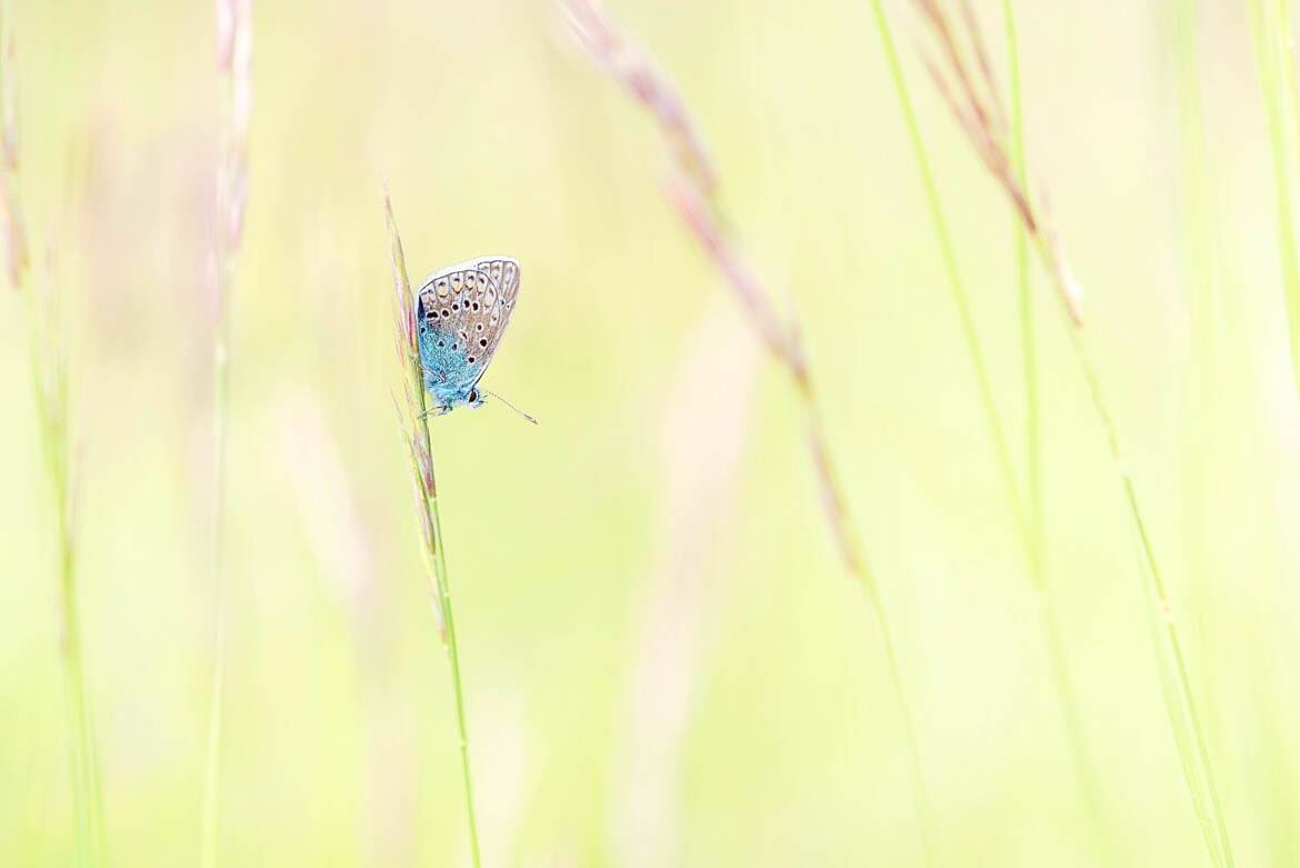 Couleurs printanière