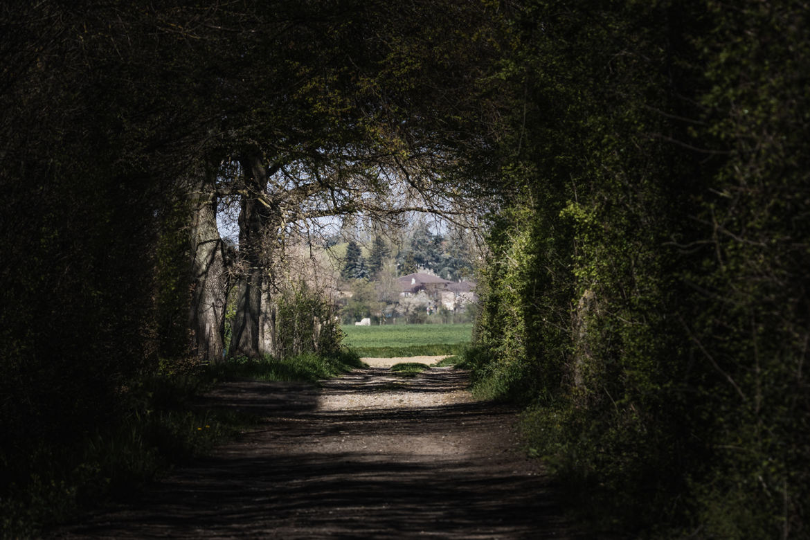 Le bout du chemin