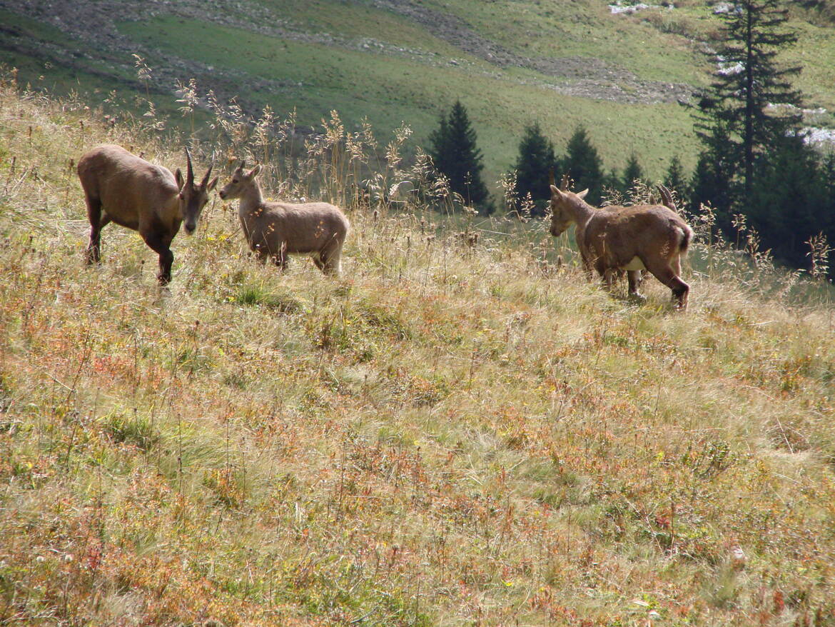 Une belle rencontre