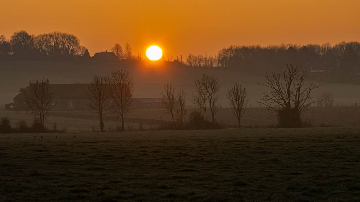 Campagne flamande en hiver (5)