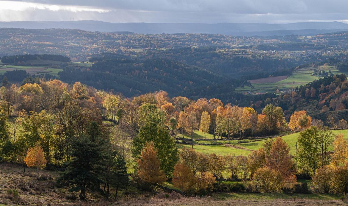 Lumière de saison