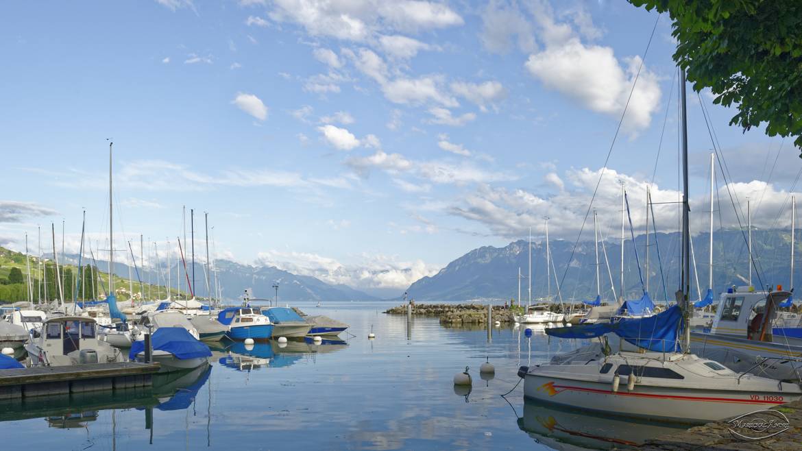 Les petits bateaux. Lac Léman.