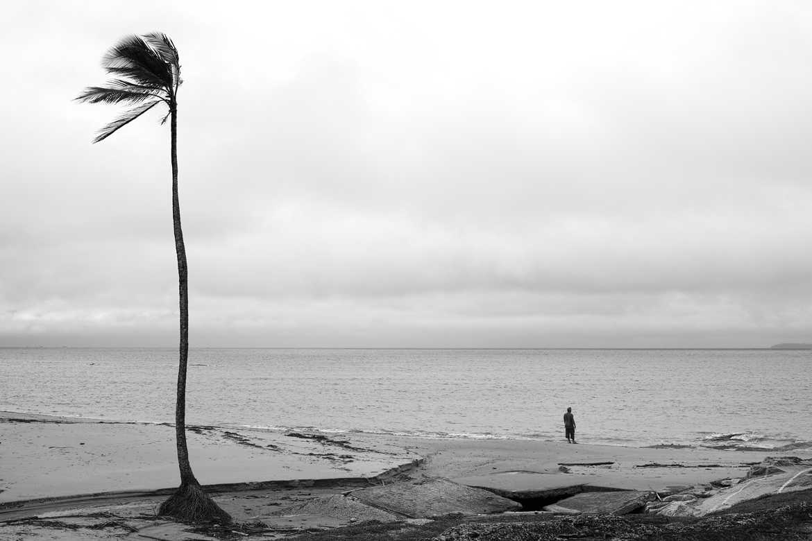 L'homme, le palmier et la mer