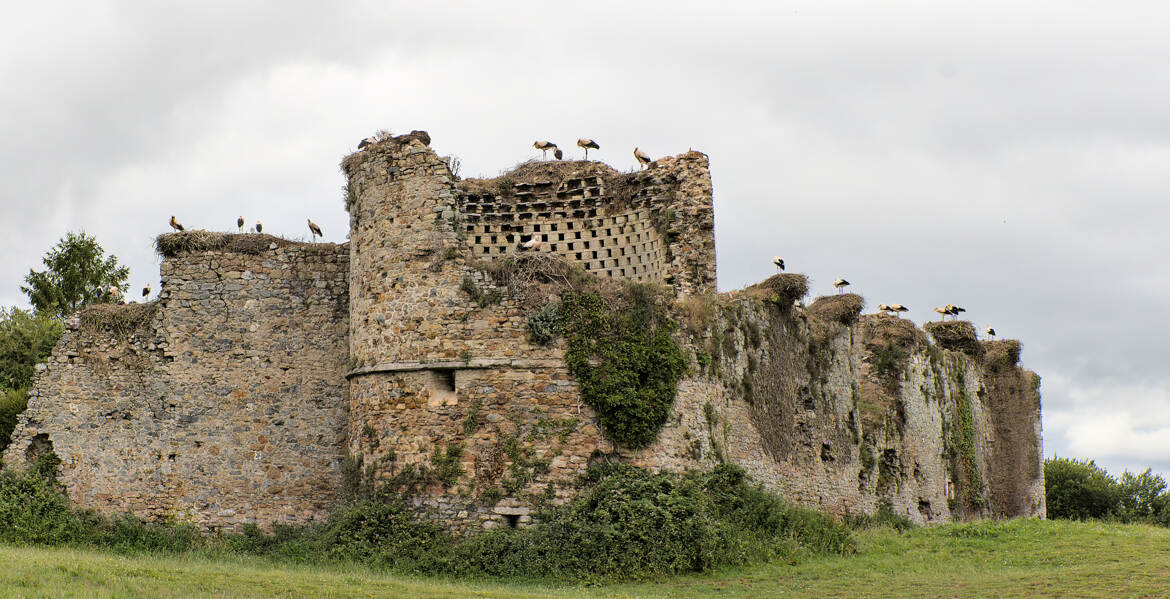 Le château des cigognes