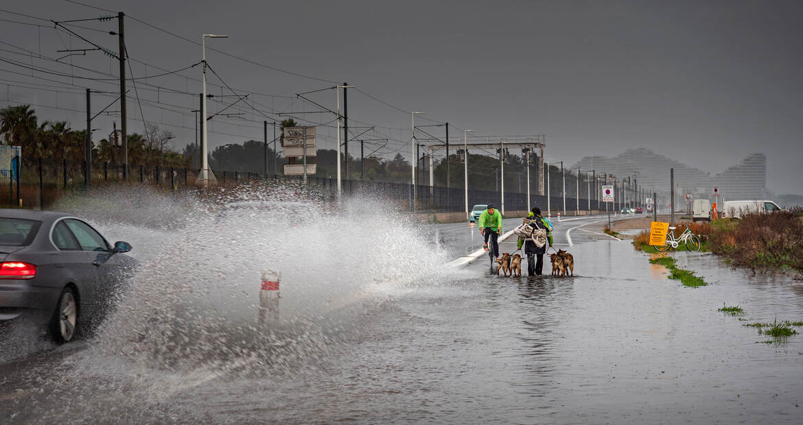 Un temps de chien !