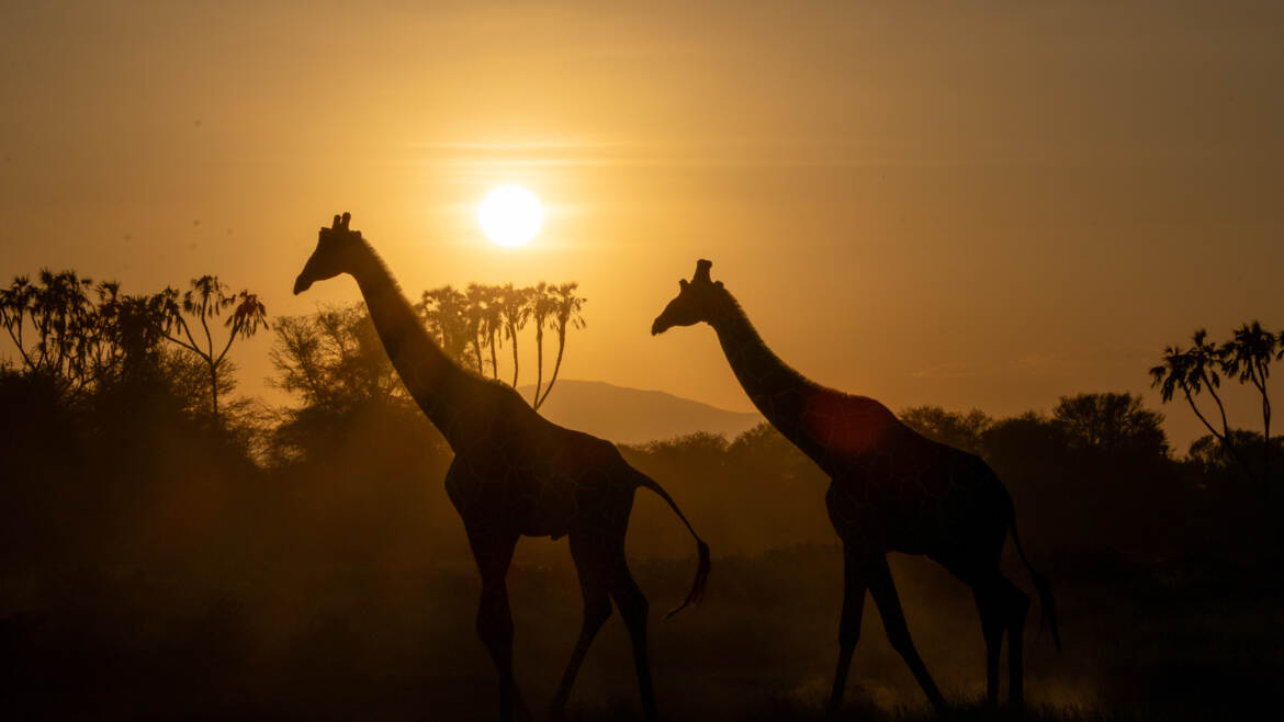 Une autre journée touche à sa fin