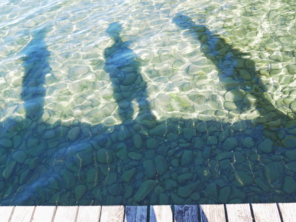 Silhouettes aquatiques