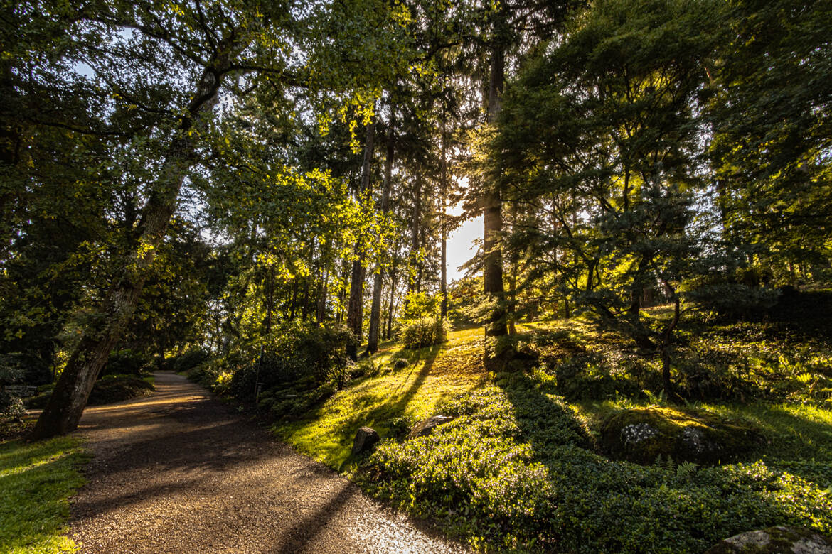 j'éclaire ton chemin 1