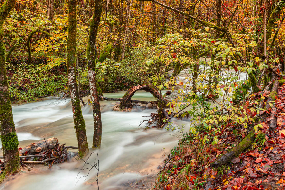 Petit pont de bois