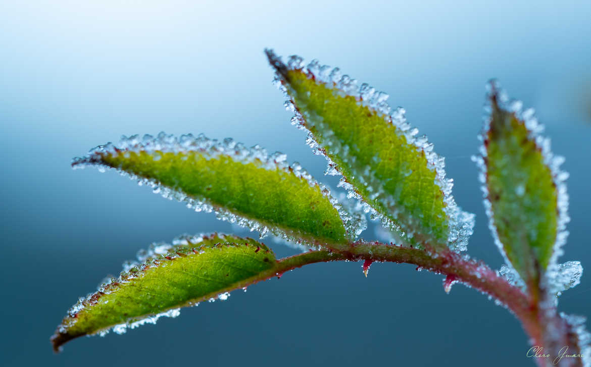 Le froid est là